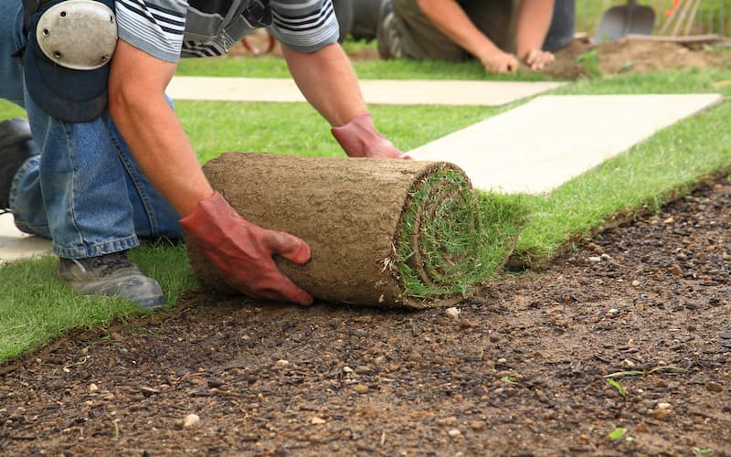 Brad Jones tree service and landscaping services working installing sod