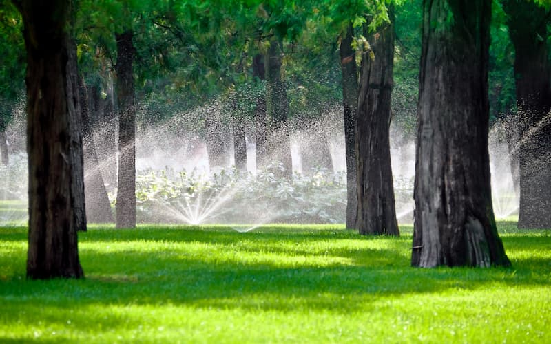 sprinklers watering trees the proper amount of moisture